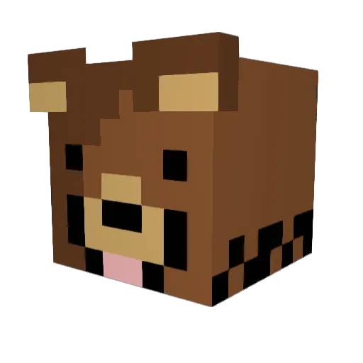 SolS163 Minecraft avatar head, 3D render