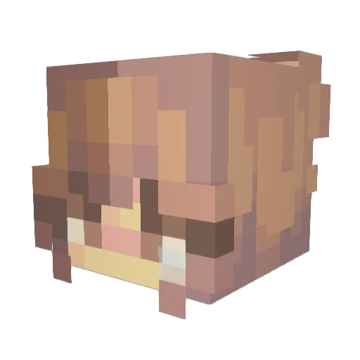 SolSubzero Minecraft avatar head, 3D render