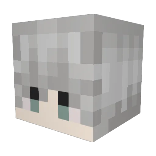 SolTheStar_ Minecraft avatar head, 3D render