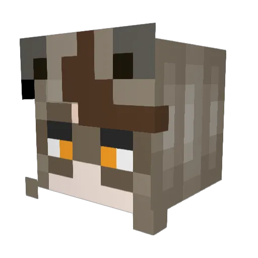 Sol_Harvest Minecraft avatar head, 3D render