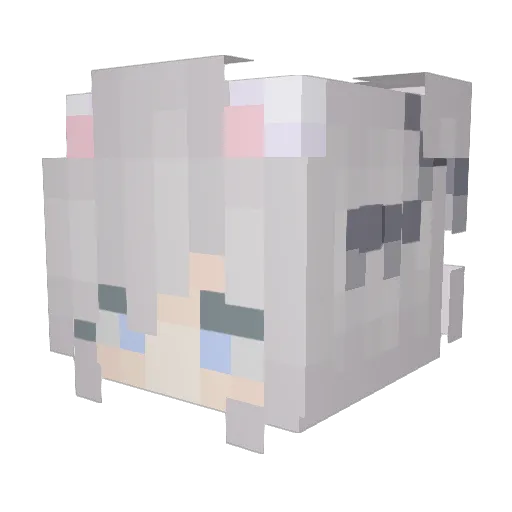 SolaceKitty Minecraft avatar head, 3D render