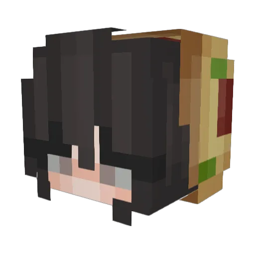 Solaire1122 Minecraft avatar head, 3D render