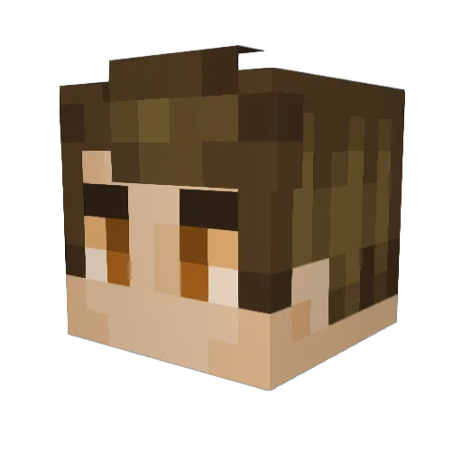 SolalLoveUrSis_ Minecraft avatar head, 3D render