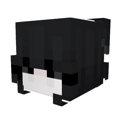 Solanafan Minecraft avatar head, 3D render