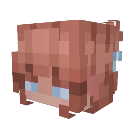 Solanum14 Minecraft avatar head, 3D render