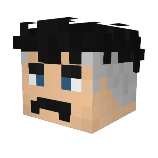 Solanum3904 Minecraft avatar head, 3D render