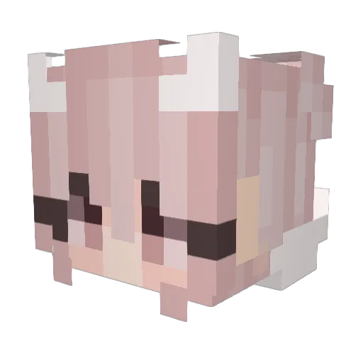 Solar110 Minecraft avatar head, 3D render