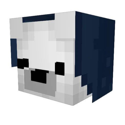 Solar58 Minecraft avatar head, 3D render