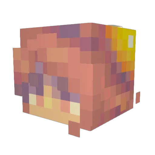 SolarDragon37 Minecraft avatar head, 3D render
