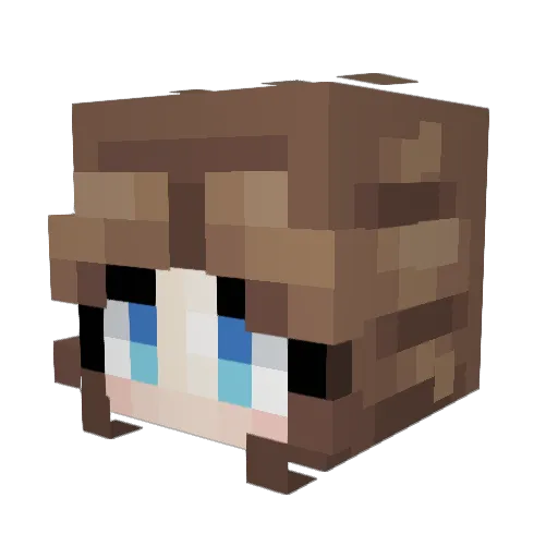 SolarEclips05 Minecraft avatar head, 3D render