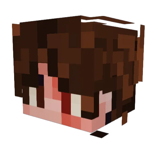 SolarEclipse7 Minecraft avatar head, 3D render