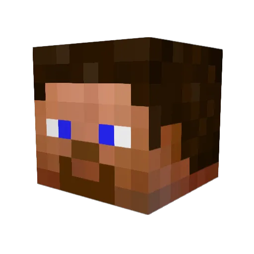 SolarFlare413 Minecraft avatar head, 3D render