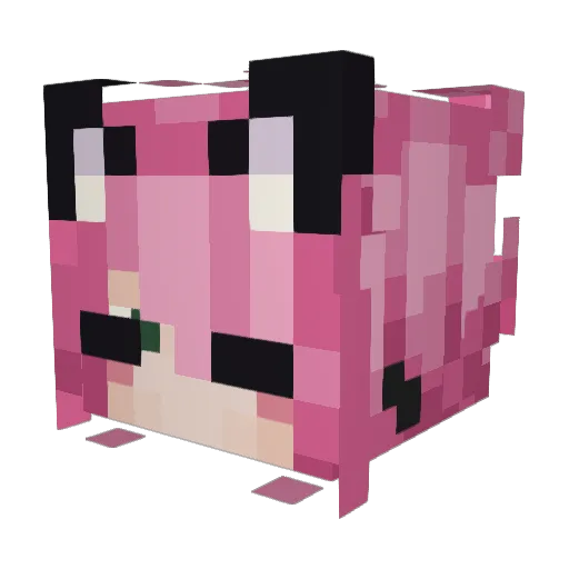 SolarMatt09 Minecraft avatar head, 3D render