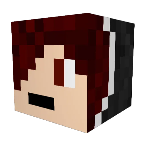 SolarMc198 Minecraft avatar head, 3D render