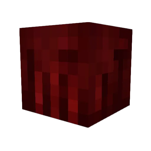 SolarNautilus Minecraft avatar head, 3D render