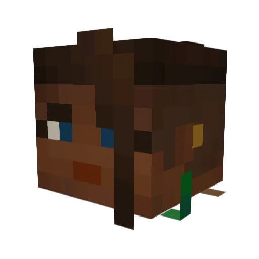 SolarPhoenix0207 Minecraft avatar head, 3D render