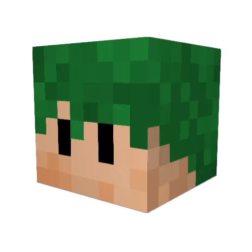 SolarSTORM7411 Minecraft avatar head, 3D render
