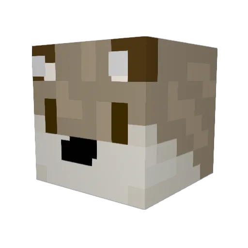SolarTheOtter Minecraft avatar head, 3D render