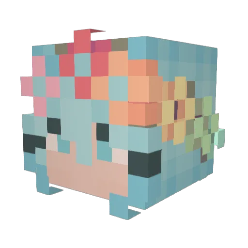 SolarVex1571 Minecraft avatar head, 3D render