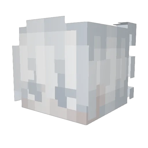 Solar_Shots Minecraft avatar head, 3D render