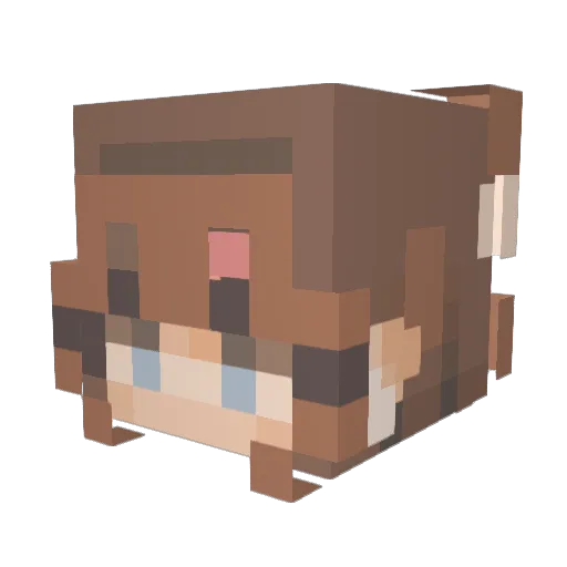 Solar_Storm Minecraft avatar head, 3D render