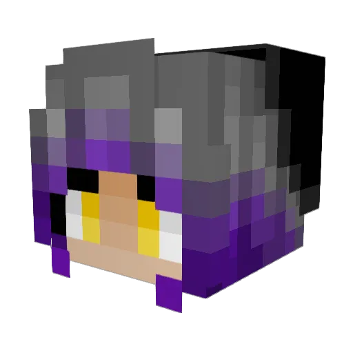 Solarfire13 Minecraft avatar head, 3D render