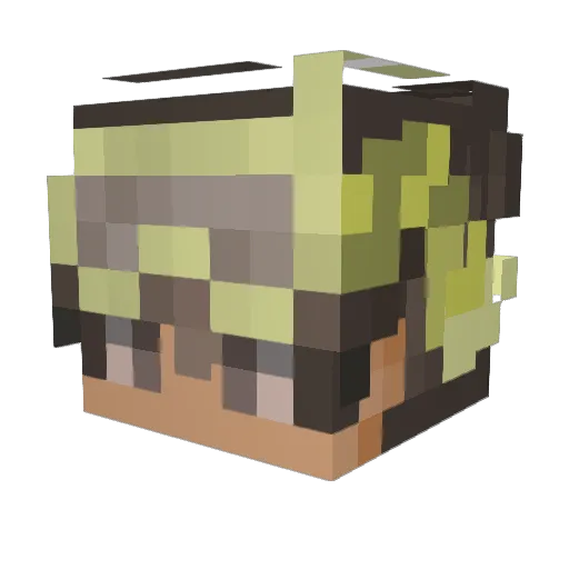Solarflarez__ Minecraft avatar head, 3D render