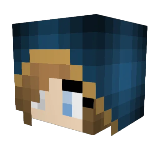 Solarfox123 Minecraft avatar head, 3D render