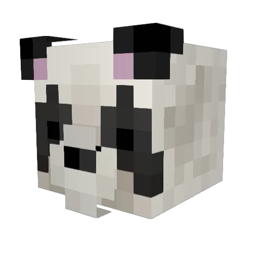 Solargvx Minecraft avatar head, 3D render