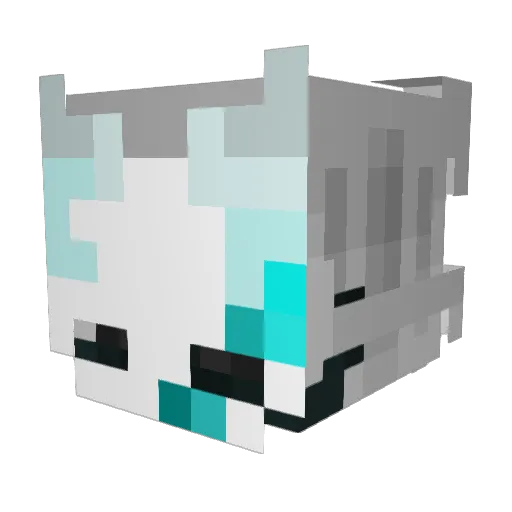 Solaricy Minecraft avatar head, 3D render