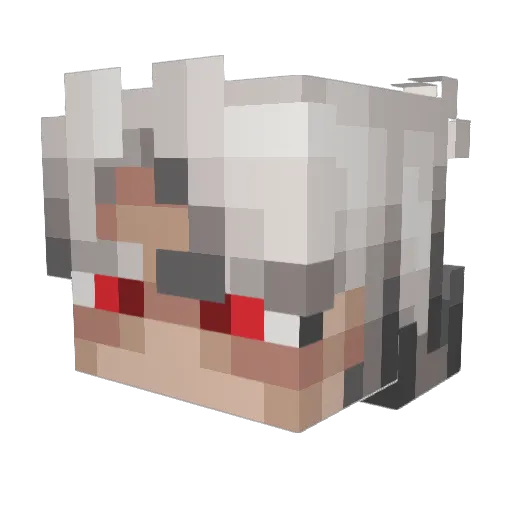 Solarin80 Minecraft avatar head, 3D render
