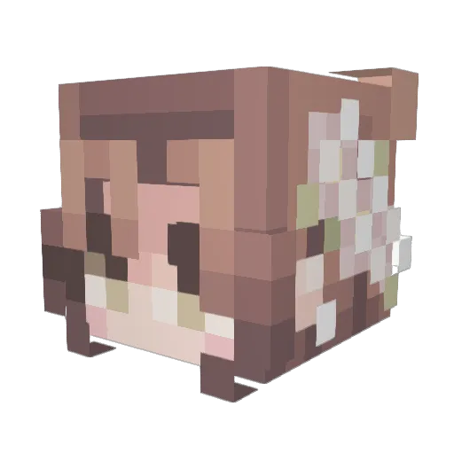 Solaris1703 Minecraft avatar head, 3D render