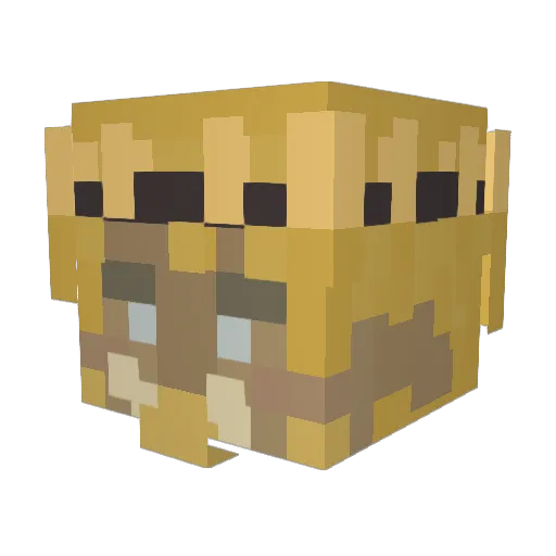 SolarisNovalite Minecraft avatar head, 3D render