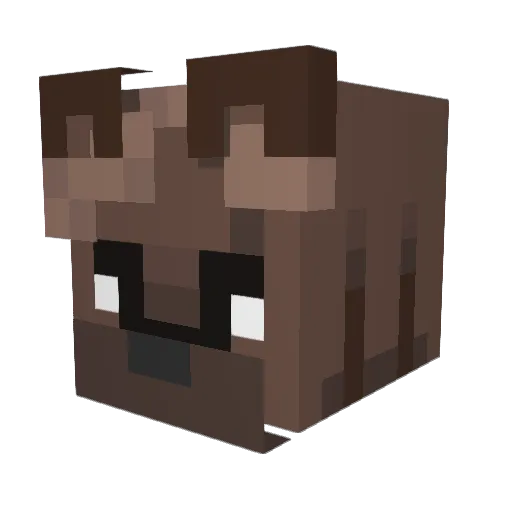 SolarisPlague Minecraft avatar head, 3D render
