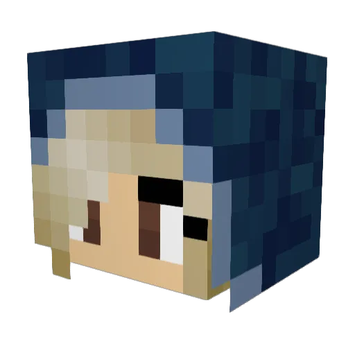 Solarwolf13 Minecraft avatar head, 3D render
