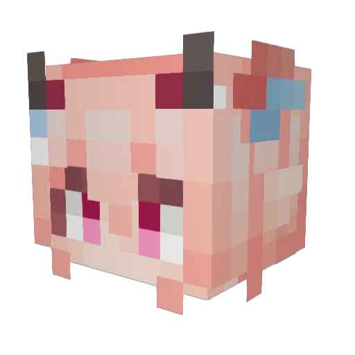 Solary541 Minecraft avatar head, 3D render