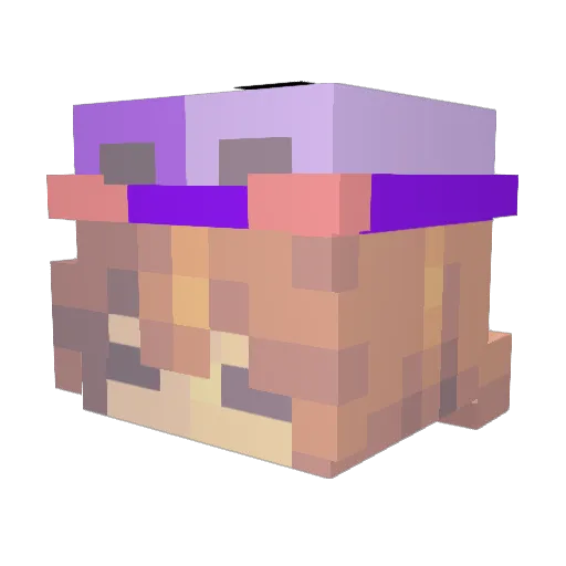 Solayot Minecraft avatar head, 3D render