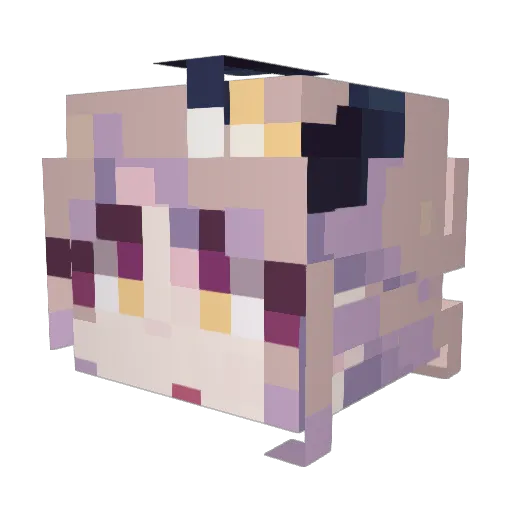 Solcu Minecraft avatar head, 3D render