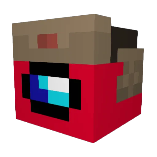 SoldDuckling750 Minecraft avatar head, 3D render
