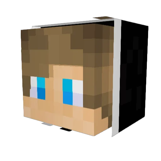 Soldaan1412 Minecraft avatar head, 3D render