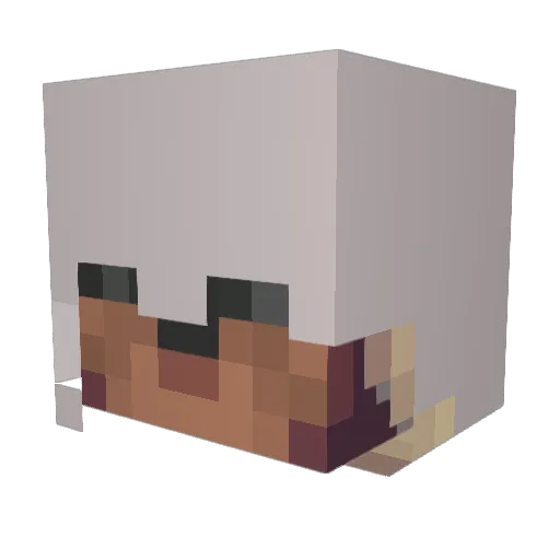 Solder213 Minecraft avatar head, 3D render