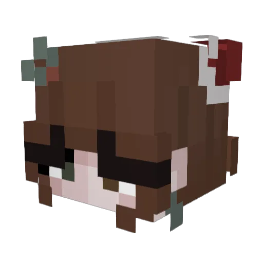 SoldierLlama90 Minecraft avatar head, 3D render