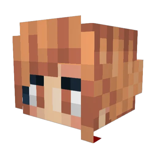 Soldout818 Minecraft avatar head, 3D render