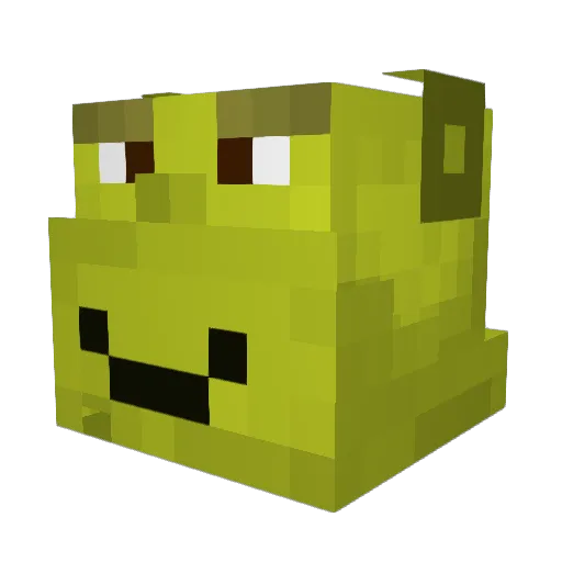 Soldy6246 Minecraft avatar head, 3D render