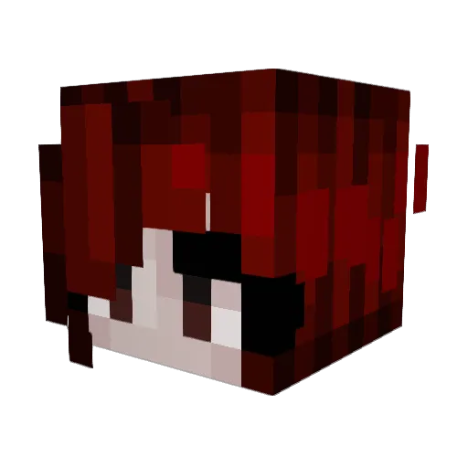 Sole025 Minecraft avatar head, 3D render
