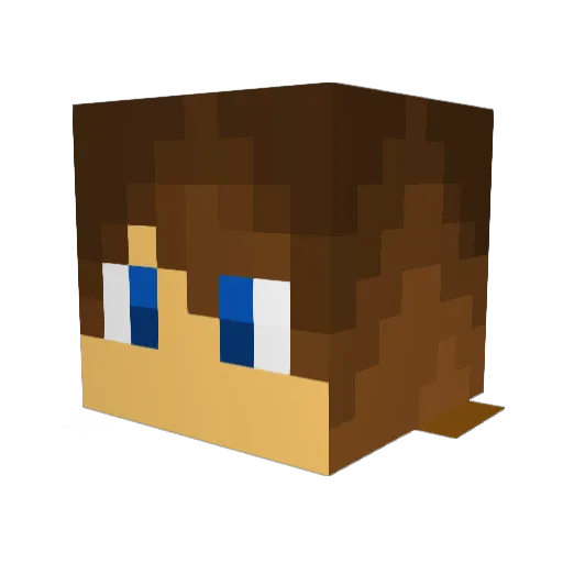 SoleSuckafree Minecraft avatar head, 3D render