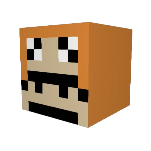 Solecylinder549 Minecraft avatar head, 3D render