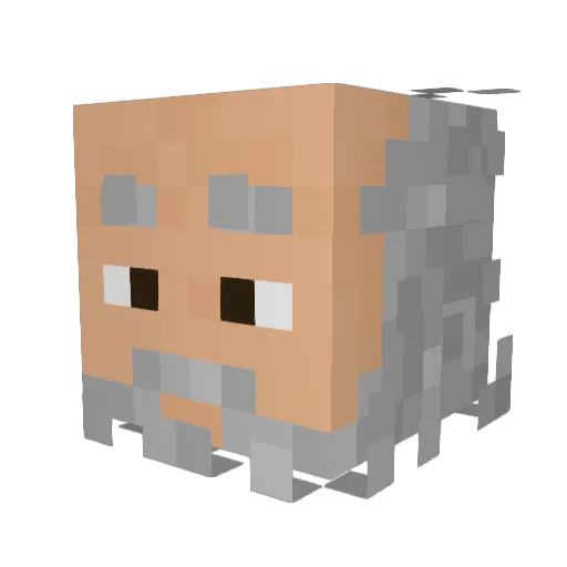 SoleilAlan Minecraft avatar head, 3D render