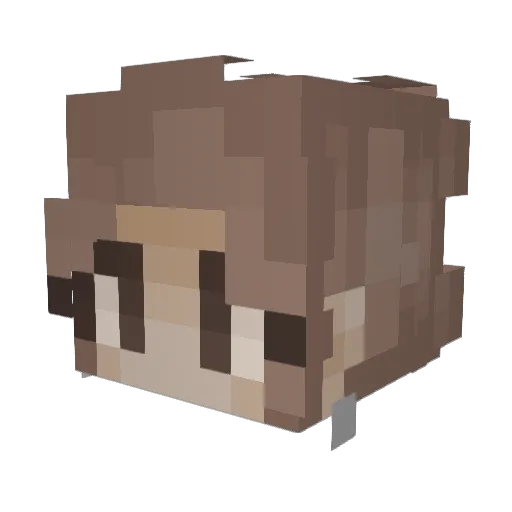 Soleilise Minecraft avatar head, 3D render