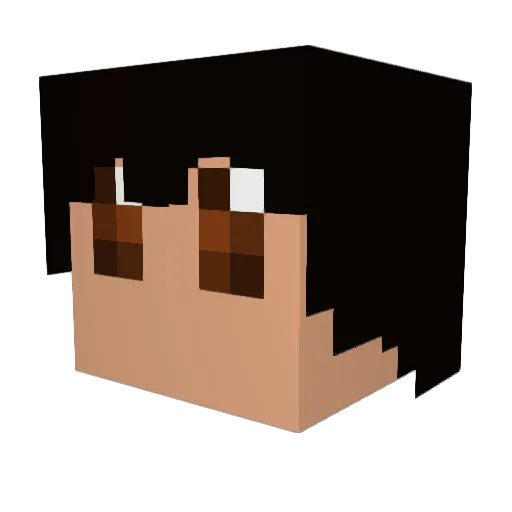 Soleilsbutterfly Minecraft avatar head, 3D render